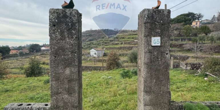 20250127165259-922927-7