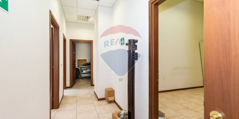 20250210133324-928541-13