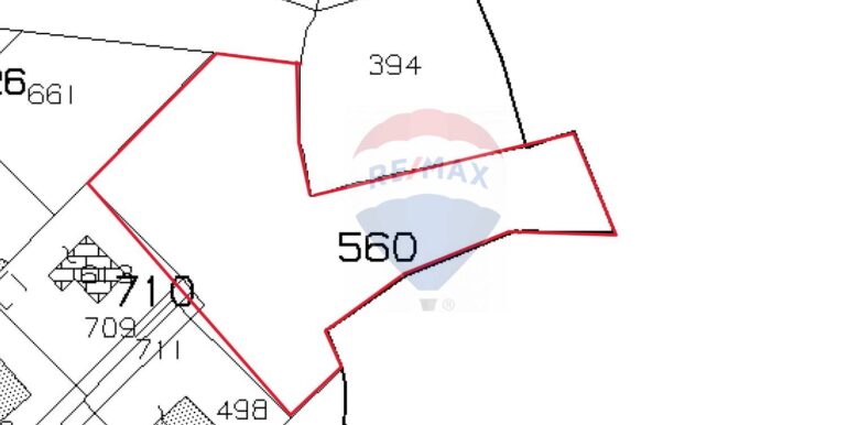 20250329164746-939650-5