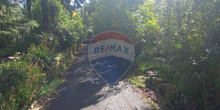 20250404221839-942121-6