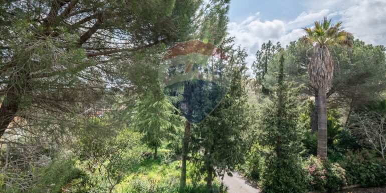 20250408124840-942121-24