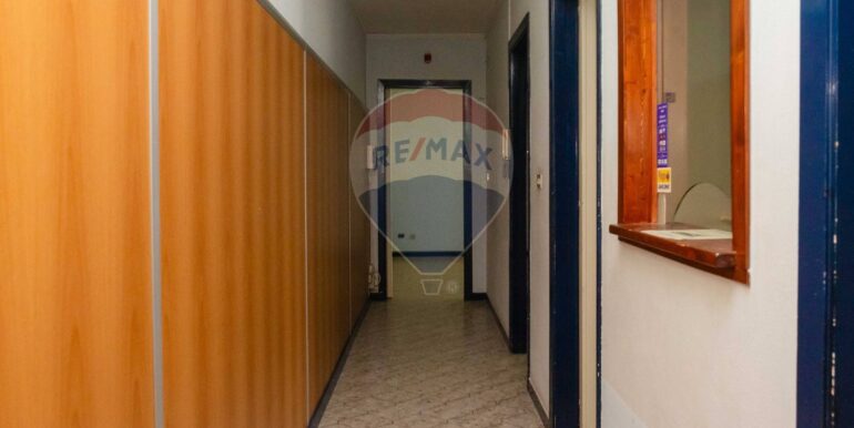 20241031105452-899838-7