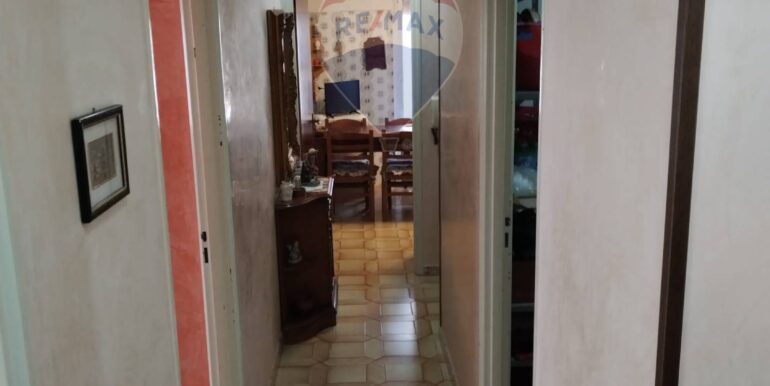 20250115120013-919666-23