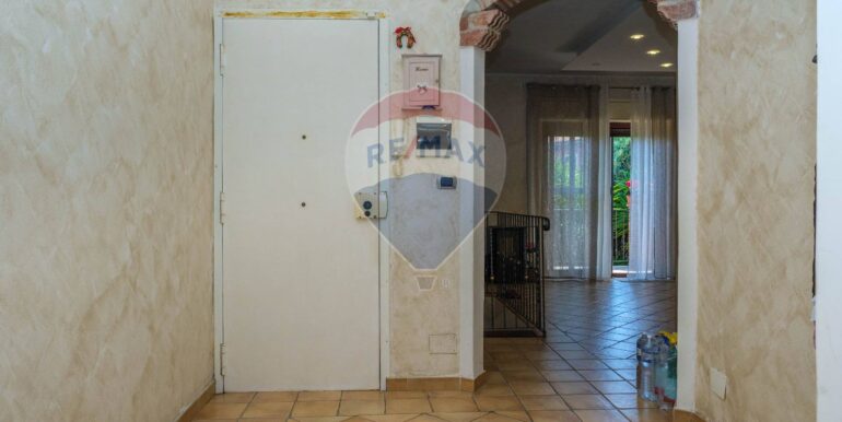 20250127211524-922462-7