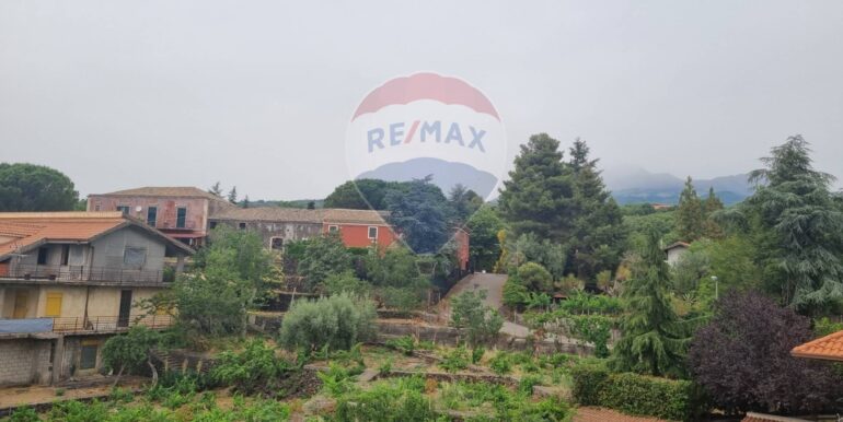 20250328175134-939576-3