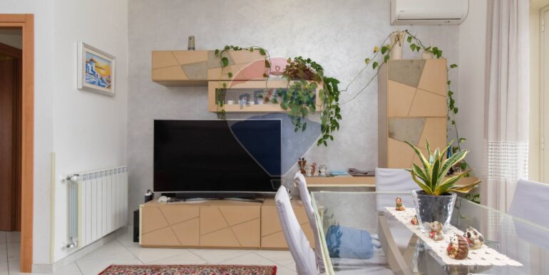 2025033120221-939698-5