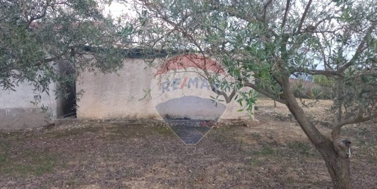 20250504163752-946471-2