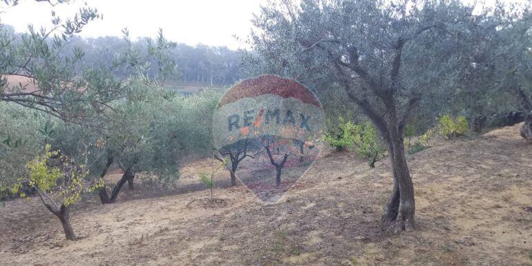 20250504163801-946471-5