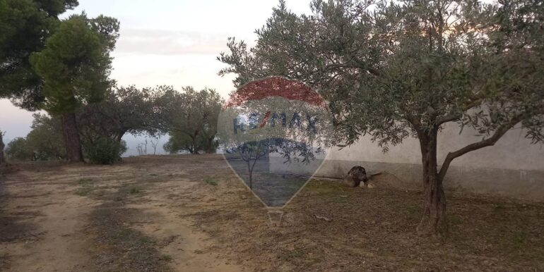 20250504163804-946471-6