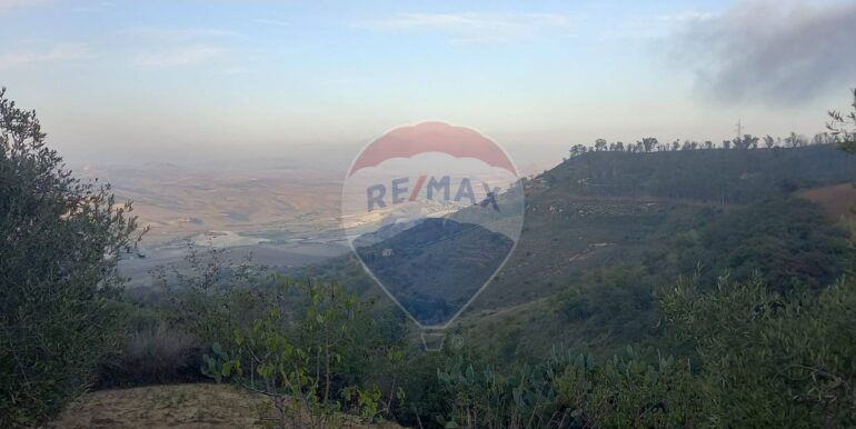 20250504163807-946471-7