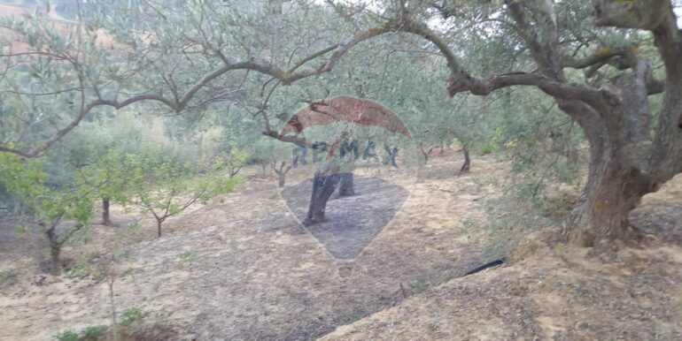 20250504163810-946471-8