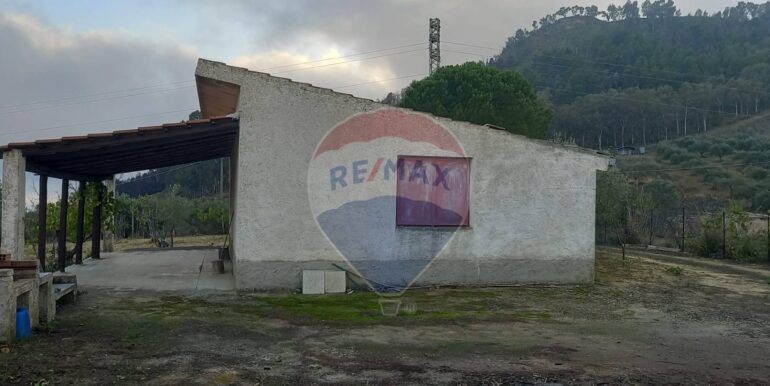 20250504163813-946471-9