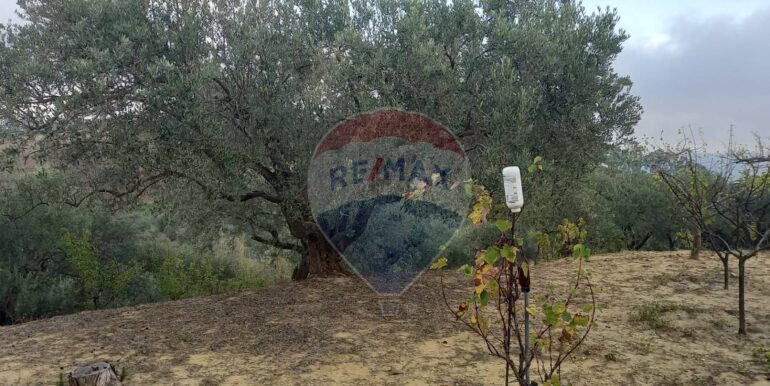 20250504163816-946471-10