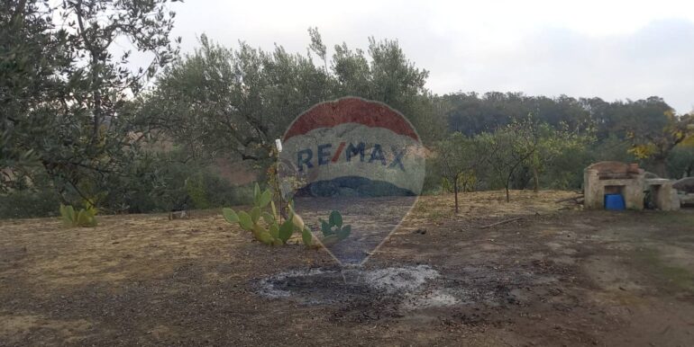 20250504163819-946471-11