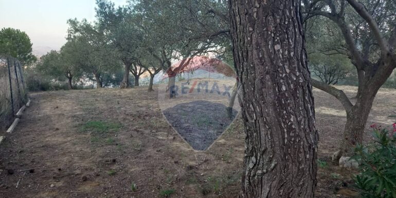 20250504163822-946471-12