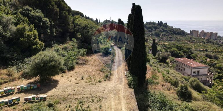 20250523215731-951393-5