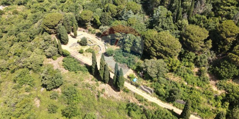 20250523215732-951393-12