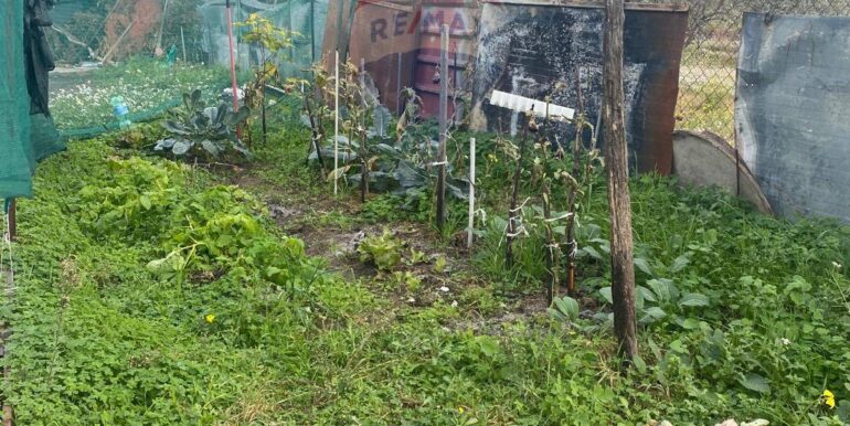 20240201113859-826773-14