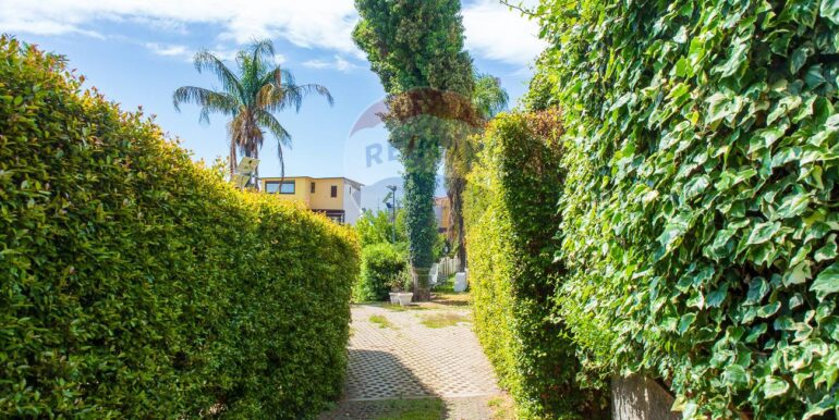 20241118165155-904644-2