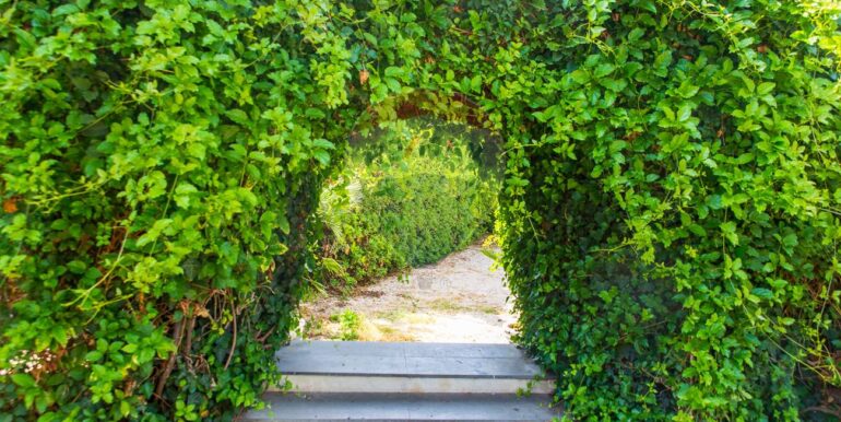 20241118165157-904644-8