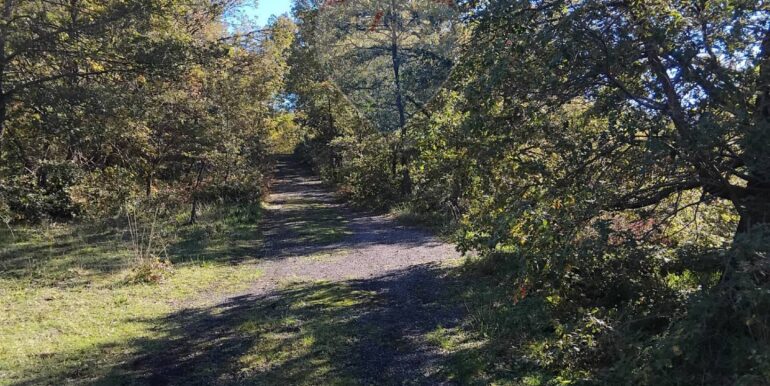 2024123092546-914806-4