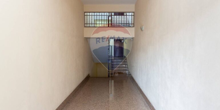 20250116232445-920183-5