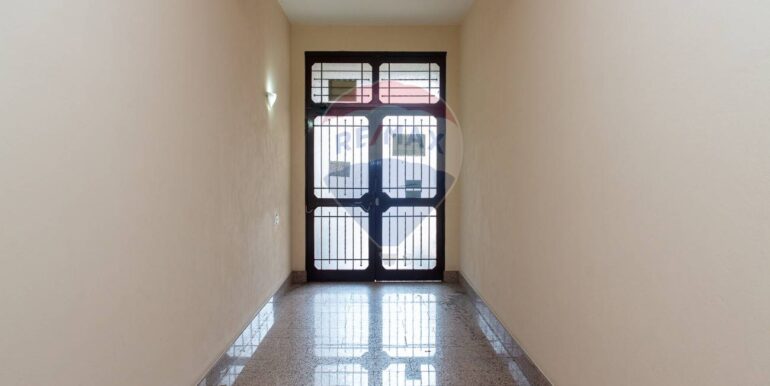 20250116232447-920183-6