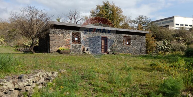 20250211123850-928083-1