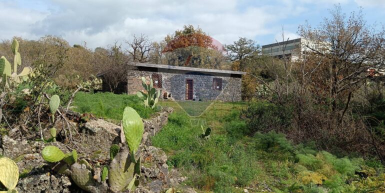 20250211123855-928083-2