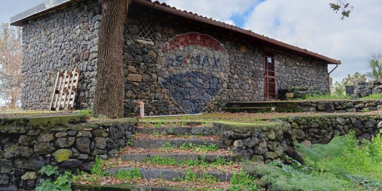 20250211123900-928083-3