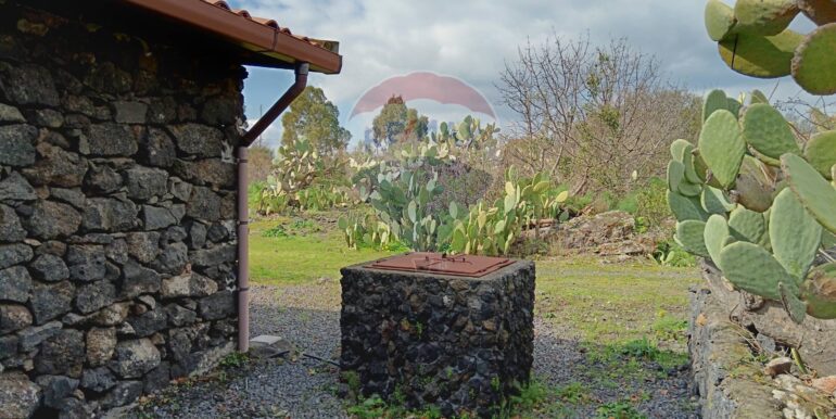 20250211123904-928083-4