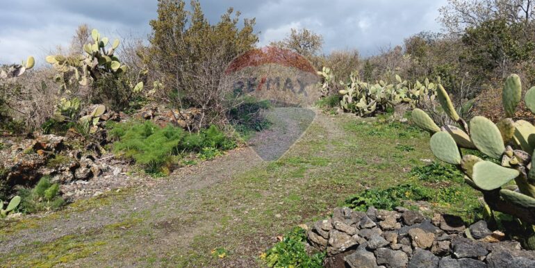 20250211123922-928083-10