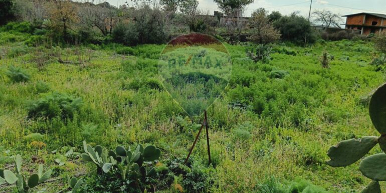 20250211123927-928083-11