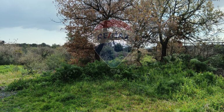 20250211123933-928083-12