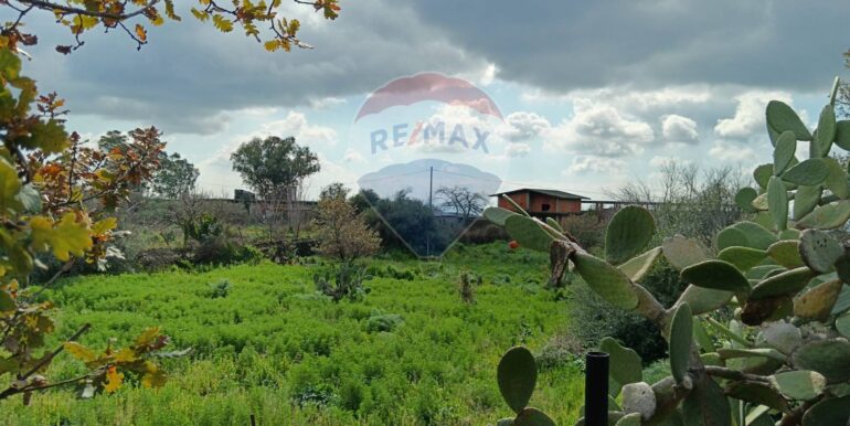 20250211123937-928083-13