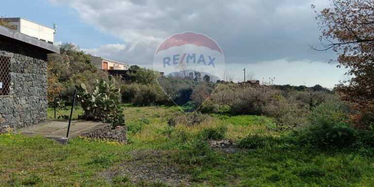 20250211123941-928083-14