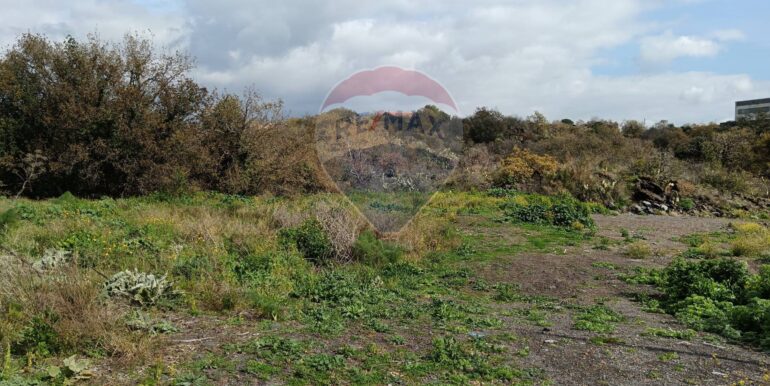 20250211123946-928083-15