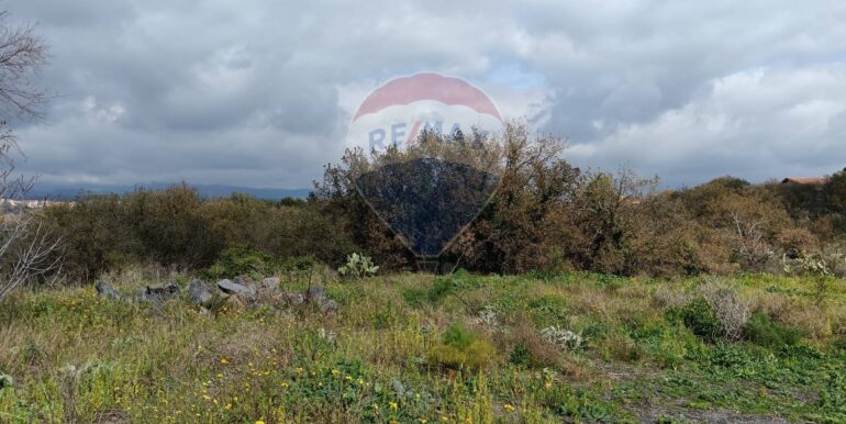 20250211123951-928083-16