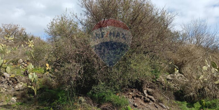 20250211123956-928083-17