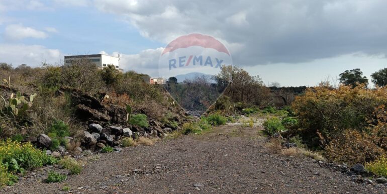 20250211124001-928083-18