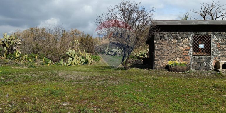 20250211124006-928083-19