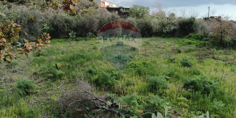 20250211124011-928083-20