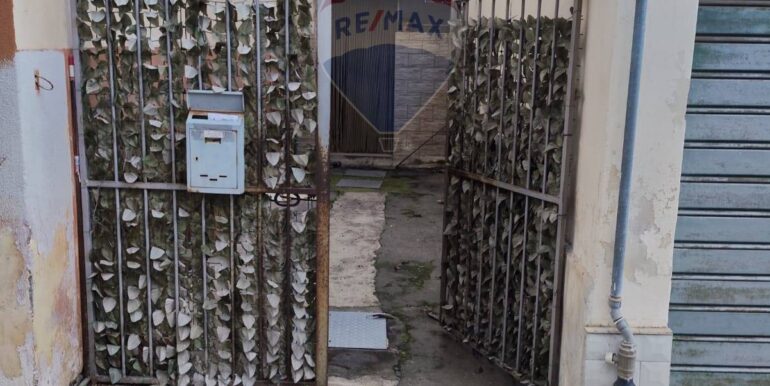 20250227234129-933043-19