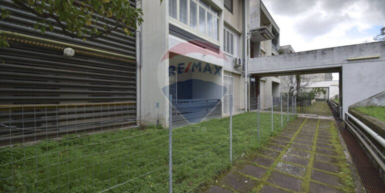 20250301120123-933076-3