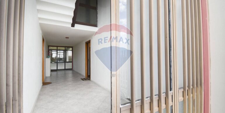 20250301120125-933076-5