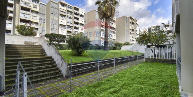 20250301120129-933076-8