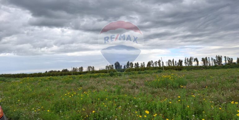 20250330184853-939682-3