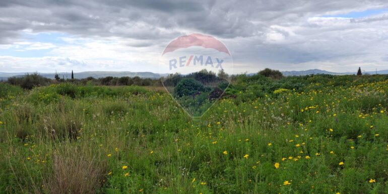 20250330184857-939682-4