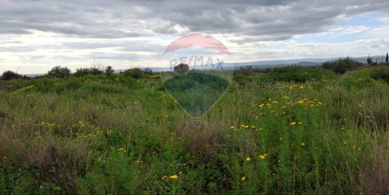 20250330184902-939682-5