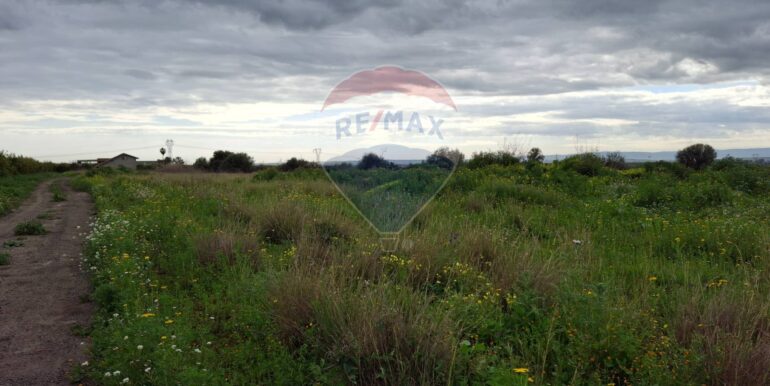 20250330184906-939682-6